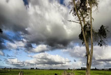 第七届东亚峰会清洁能源论坛4日在福建省福州市举办 中国面向东盟的海上风电实证合作正式启动